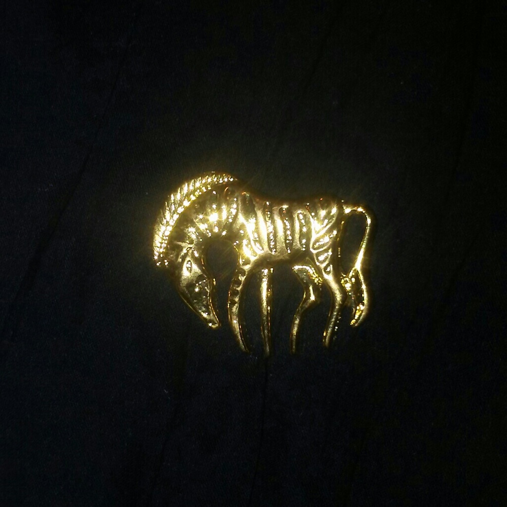 Gold Zebra Jewelry  Brooch Pin